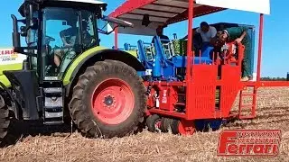 Vegetable Transplanter | Ferrari Futura