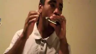 Harpboxer