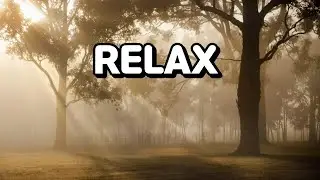 1 Hour Calm Background Music | Focus, Relax & Breathe &ndash; CalmSpace