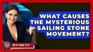 What Causes The Mysterious Sailing Stone Movement? - Did Ya Know This