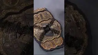 CM Punk Spray Paints the AEW CHAMPIONSHIP 😱