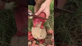 Smooth smooth cut session