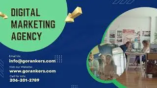 Go Rankers LLC | Digital Marketing Agency in Houston, TX