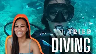 Diving in Cebu, Philippines // Diving for Beginners