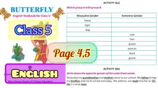 Revision Lesson || Activity 3(a) & 3(b)|| Butterfly Class 5 English Page 4,5 || West Bengal Board