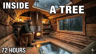 72 Hours Alone Building a Secret Shelter Inside a Collapsed Ancient Tree