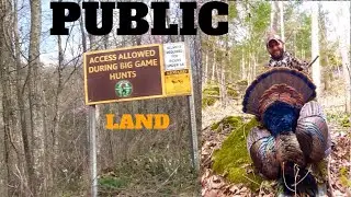 Turkey Hunting The Tennessee Mountains