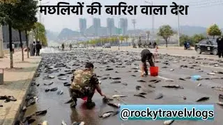 Amazing Fish Rain,FISH RAIN DOWN FROM SKY #rockytravelvlogs#fact #viralvideo#trending #amazingfacts 