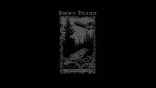 Bonjour Tristesse  -  Ode to Emptiness [Single Premiere by No Clean Singing]