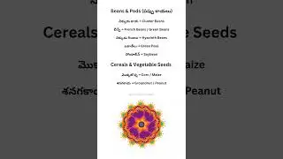 Beans & Pods || Cereals & Vegetable Seeds Telugu to English Vegetables Name