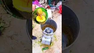 Невероятно! Машина из нержавеющей стали разбивает тыквы за считанные секунды.