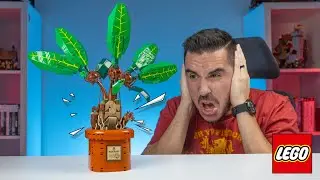 Earmuffs up! || LEGO 76433 Harry Potter Mandrake