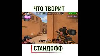ЧТО ТВОРИТ SEGIN STANDOFF 2 #shorts