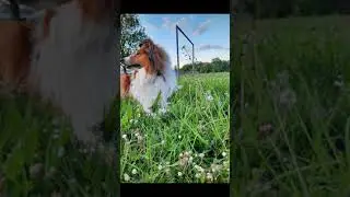 Mr. Luckoni mit seiner neuen Freundin