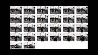 8fps Continuous Shooting Test / Nikon D7500