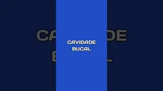 CAVIDADE BUCAL