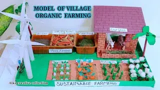 MODEL OF ORGANIC FARMING/ AGRICULTURE MODEL FOR SCHOOL PROJECT #organicfarming #agriculturefarming