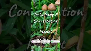 Magic Mushrooms Trailer