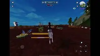 SSO The Jorvik ranger working equitation challenge 2 ~ 0:38:34