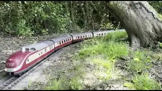 Trans Europe Express (TEE) - G Scale