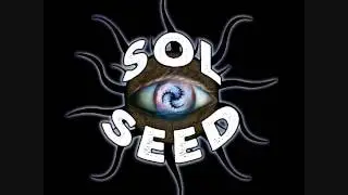 Sol Seed Wisdom of the Turtle