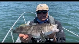 Izor's Reef With Dad   (Summer 2020)