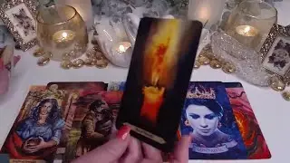 AQUARIUS LOVE, MONEY & MONTHLY WILDCARD SIGNS🌟 AQUARIUS LOVE TAROT READING