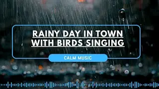Rainy Day in Town with Birds Singing | Relaxing Nature Sounds | Feel Good