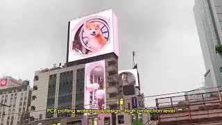 Tokyo Shibuya Outdoor Ultra Thin LED Display District Landmark Case