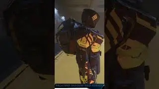 Star Citizen 4.5 | Monthly Patch Bundle | Shadow Gild | Mirai Guardian Paint | Palatino Armor