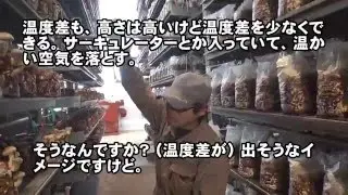 開始から2年で経営の安定に成功した新規事業の実例動画集。農業編