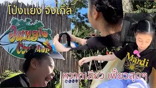 โป่งแยง จังเกิ้ล โคสเตอร์ ซิปไลน์ สนุกมากใครมาเชียงใหม่ห้ามพลาด Pongyang Jungle Coaster
