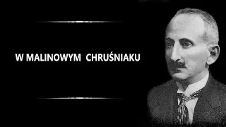 Bolesław Leśmian - W malinowym chruśniaku