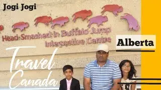 Head-Smashed-In-Buffalos-Jump | How First Nation's Hunt Buffalos? | Fort Macleod, Alberta, Canada