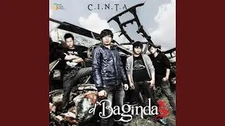 C.I.N.T.A