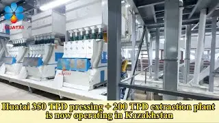 Huatai 350 TPD pressing + 200 TPD extraction plant is now operating in Kazakhstan.
