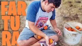 VIDA NO CAMPO E ASSIM FARTURA E FELICIDADE