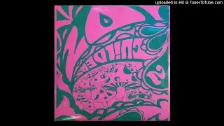 20 Guilders - Fire within the Comb [2017]