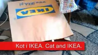 Ikea kot - Ikea cat