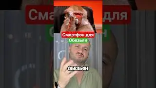 Смартфон для Обезьян ?! Обзор Cubot KingKong 11