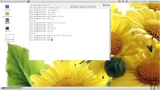 mv (move) command tutorial in linux