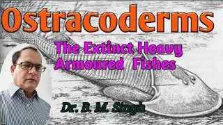 Ostracoderms