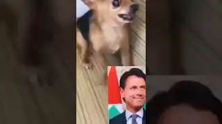 jokes 2023, humor, jokes, practical joke. Приколы 2022, приколы 2023, юмор, шутки, смешные видео.