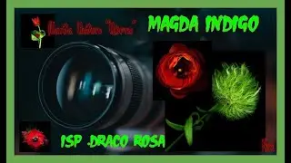 Magda Indigo    (   Магда Индиго 