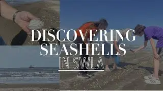 Discovering Seashells in Southwest Louisiana
