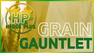Grain Gauntlet 1-7-2026 - The Hedge Plus Weekly Grain Market Q&A