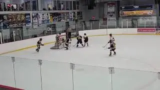 The winning goal tho go in final @NHL @hockey