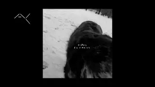 01934, djzakai & Loutan - Blossom in Spring