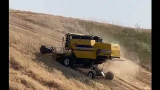 Trebbiatura in collina con New Holland TC 5080