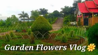 Garden Flowers 💐 vlog #2025 #flowers #manipur #viral #travel #edit
